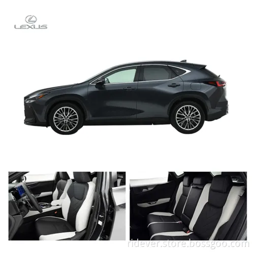 Ridever Electric New Cars for Sale Electric Car Lex Us Nx New Energy